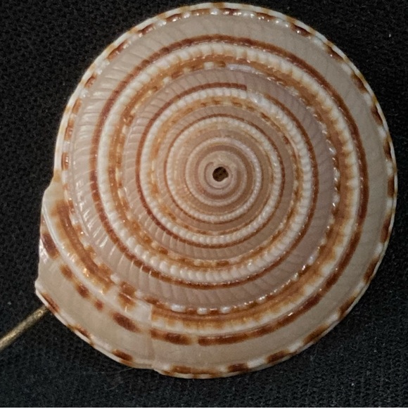 Miriam Haskell Vintage Nautilus Shell stick pin 3" - Picture 3 of 8